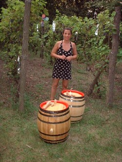 barbarella mit den brandneuen weinf�ssern :::