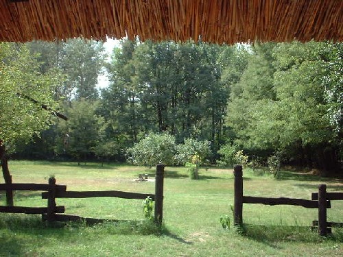 blick in den garten :::