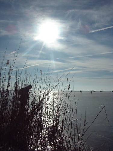 sunshine foreever :::