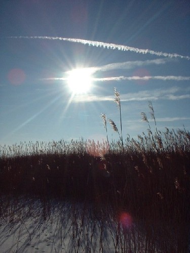 still shinig sun :::