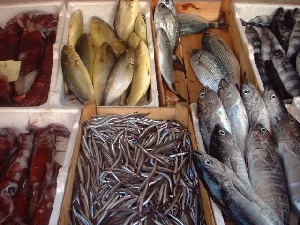 fische auf vulcano ;-)