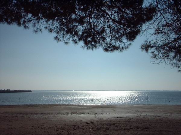 grado 2005 ;-)
