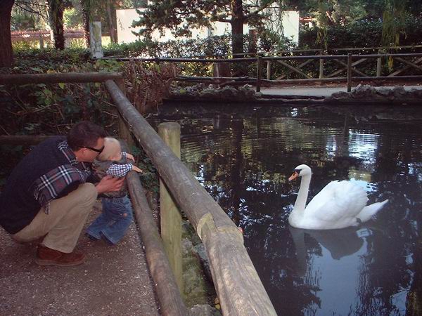 grado 2005 ;-)