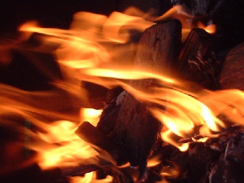 feuer : traisen :::