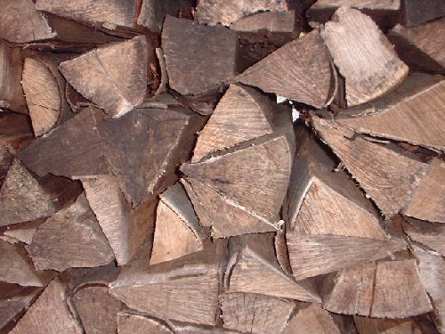 holz : traisen :::