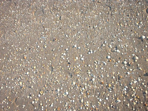 strand von jesolo :::