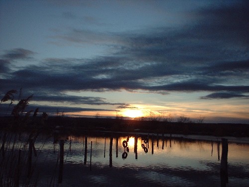 sonnenuntergang : neusiedler see : ungarn :::