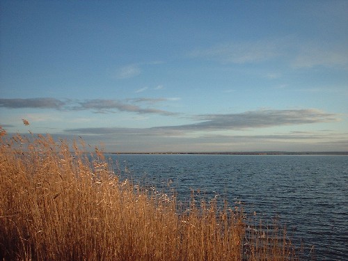 neusiedler see : ungarn :::