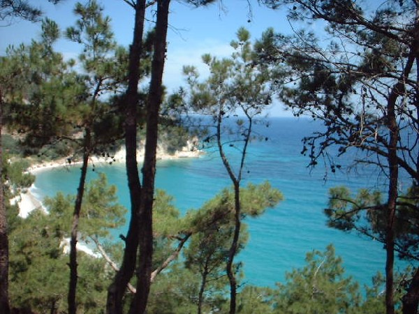 SAMOS