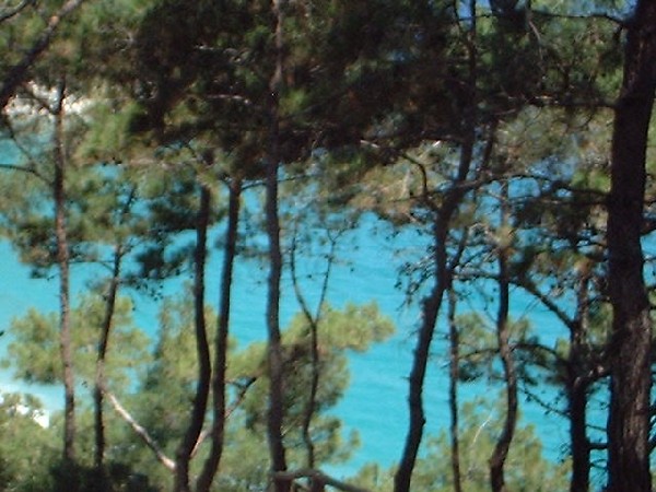 SAMOS