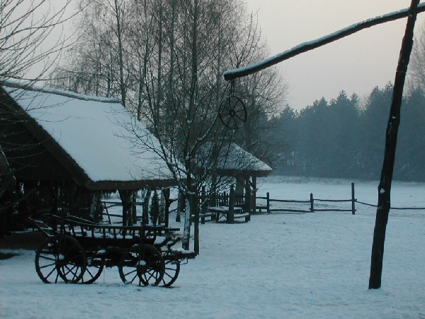varga tanya