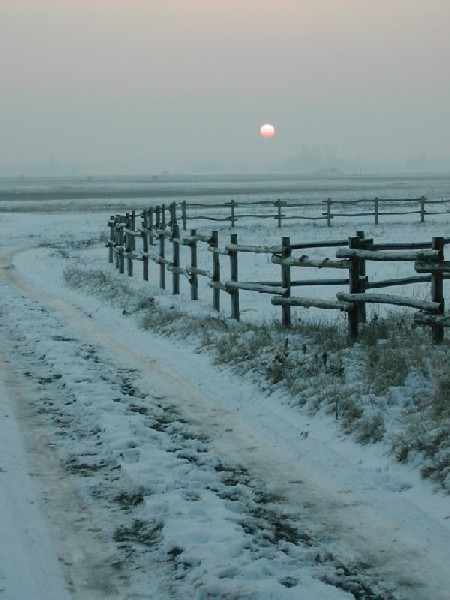 tiefgefroren , tiefgek�hlt ..