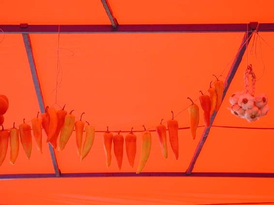 Babs 29. Geburtstag ;-) / Sommer 2002