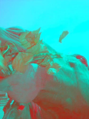 Babs 30. Geburtstag mit Freunden ;-) Sommer 2003
