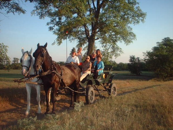 Babs 30. Geburtstag mit Family ;-) Sommer 2003