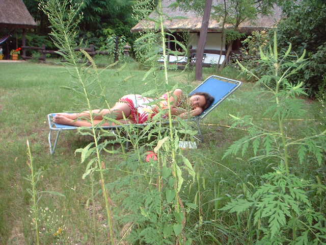 Garten ;-)  Boldog Tanya