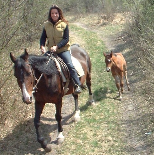 Westernreiten mit Istvan ;-)