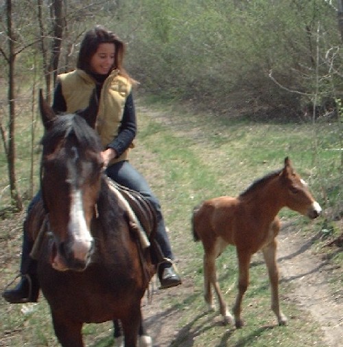Westernreiten mit Istvan ;-)