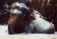 SRI LANKA 2001