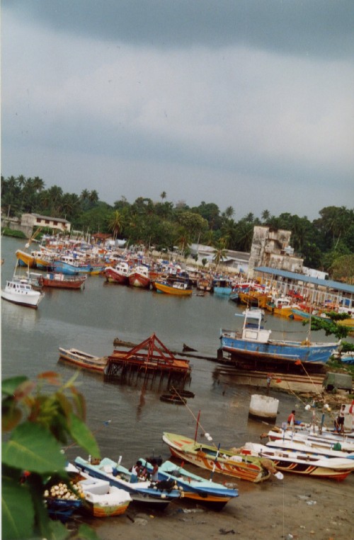 beruwela
