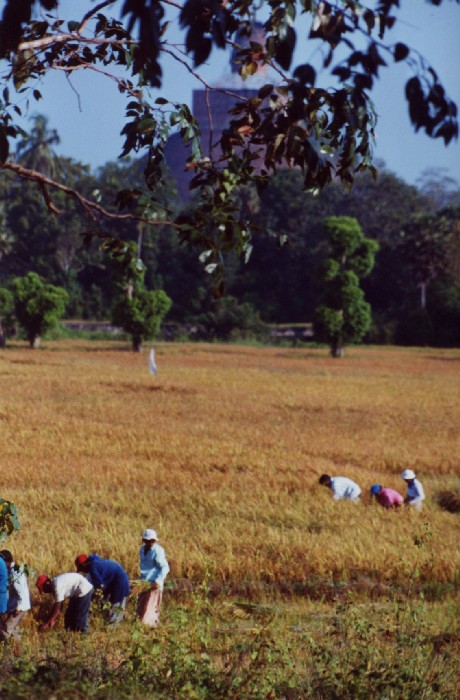 Anuradhapura
