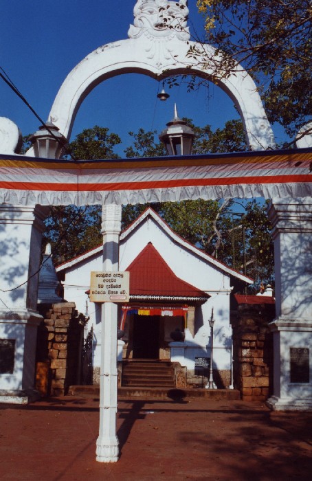 Bohdi-Baum, Sri Maha Bodhi