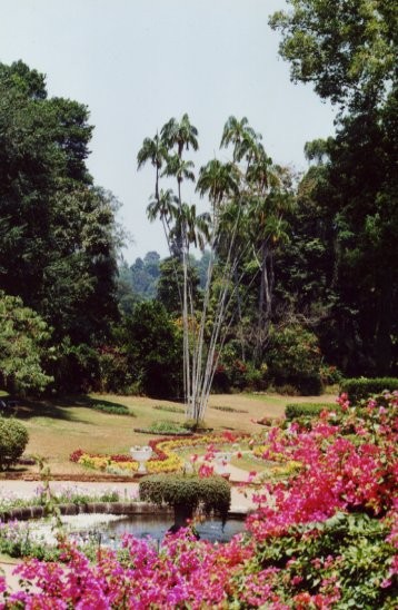 Peradeniya Botanical Garden