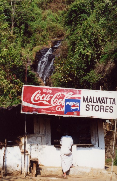 das Hochland von Nuwara Eliya - Zentrum des Teeanbaus ...